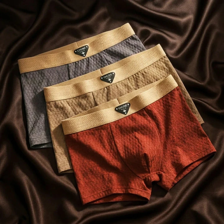 Tatum Organic Cotton Boxer Briefs Lion Style