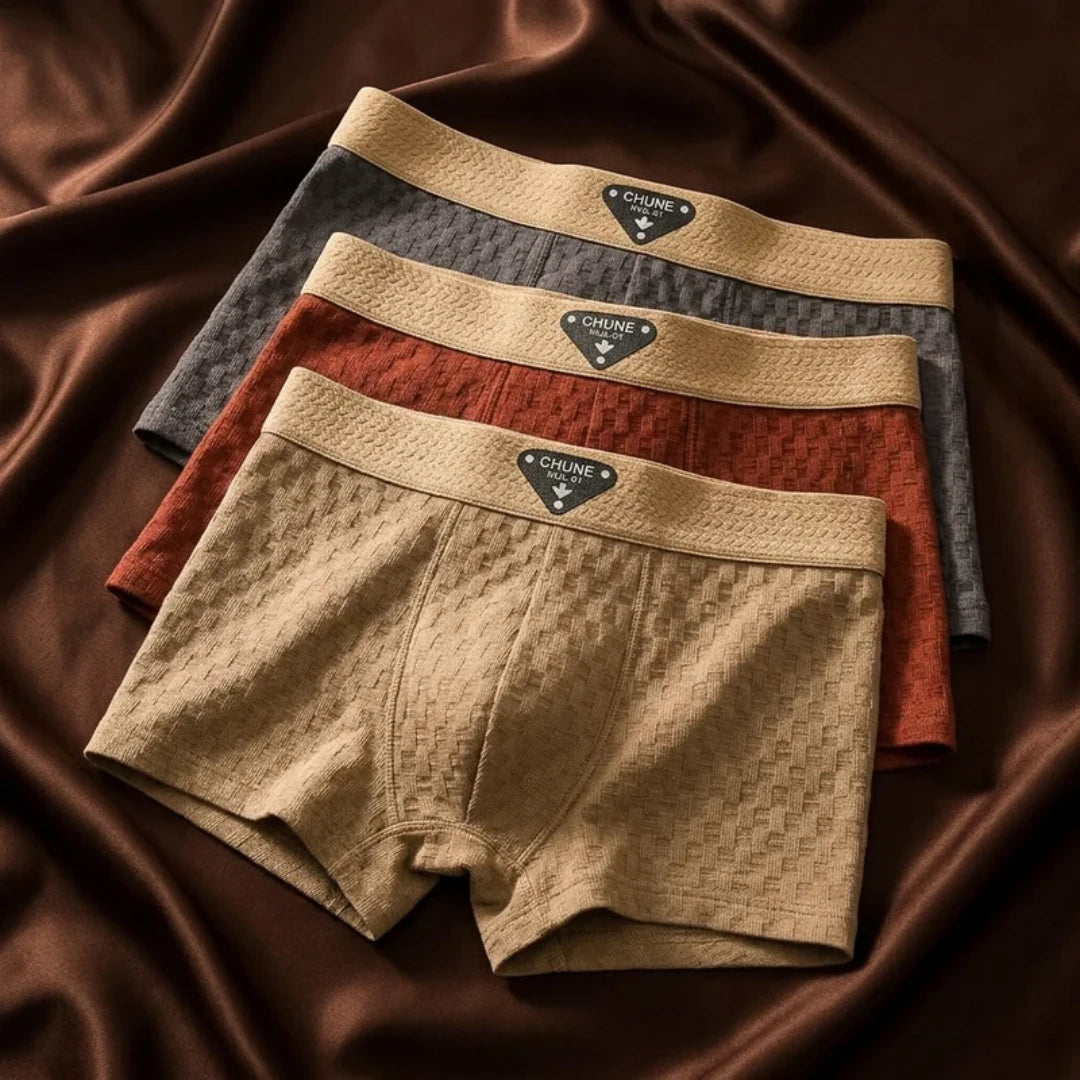 Tatum Organic Cotton Boxer Briefs Lion Style