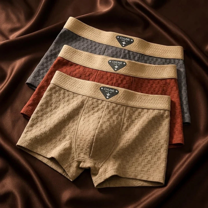 Tatum Organic Cotton Boxer Briefs Lion Style