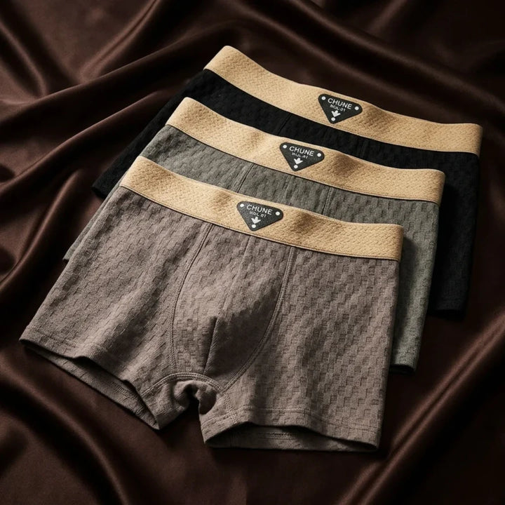 Tatum Organic Cotton Boxer Briefs Lion Style