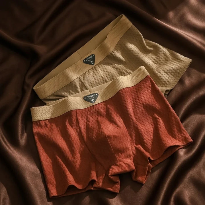 Tatum Organic Cotton Boxer Briefs Lion Style