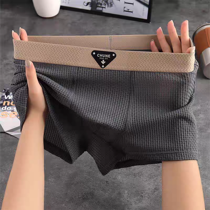 Lion Style | Men’s Breathable Boxer Briefs