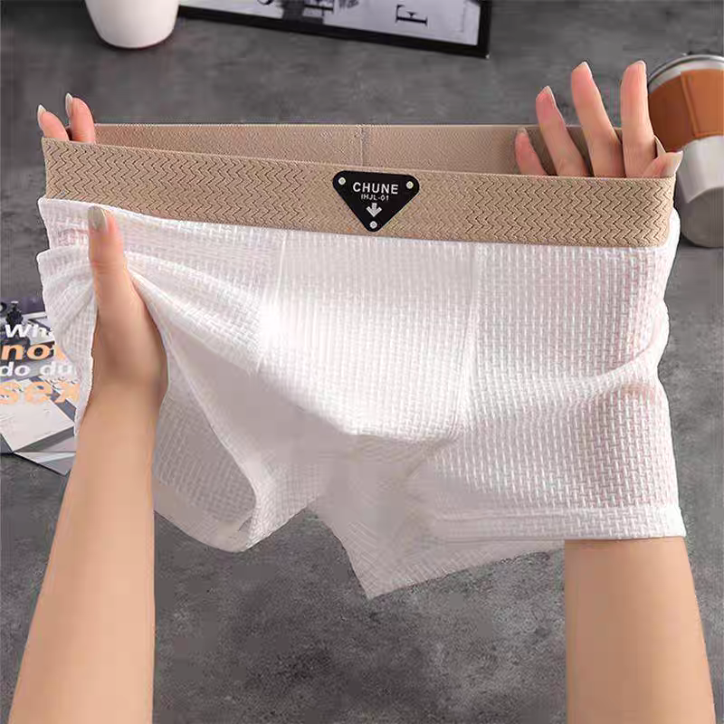 Lion Style | Men’s Breathable Boxer Briefs