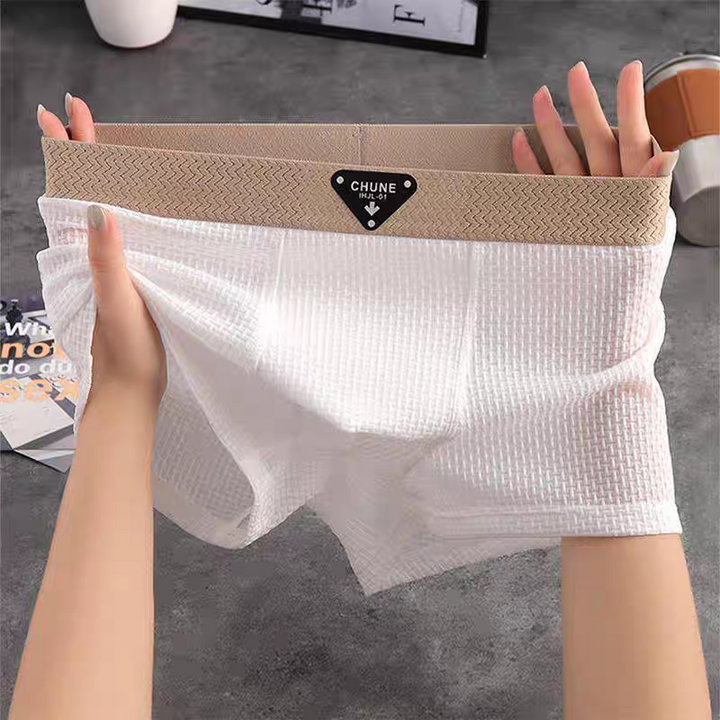 Lion Style | Men’s Breathable Boxer Briefs