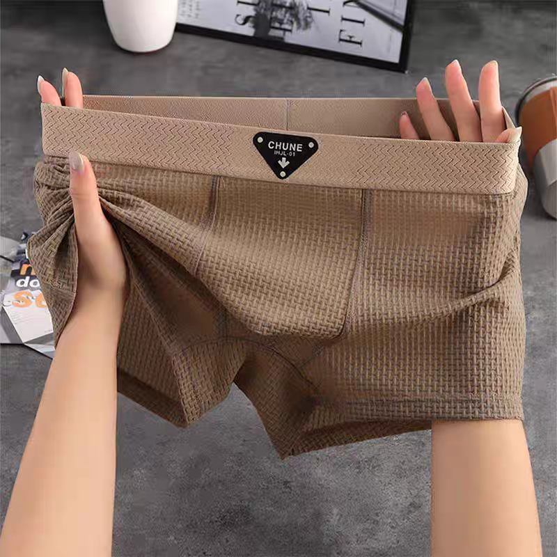 Lion Style | Men’s Breathable Boxer Briefs