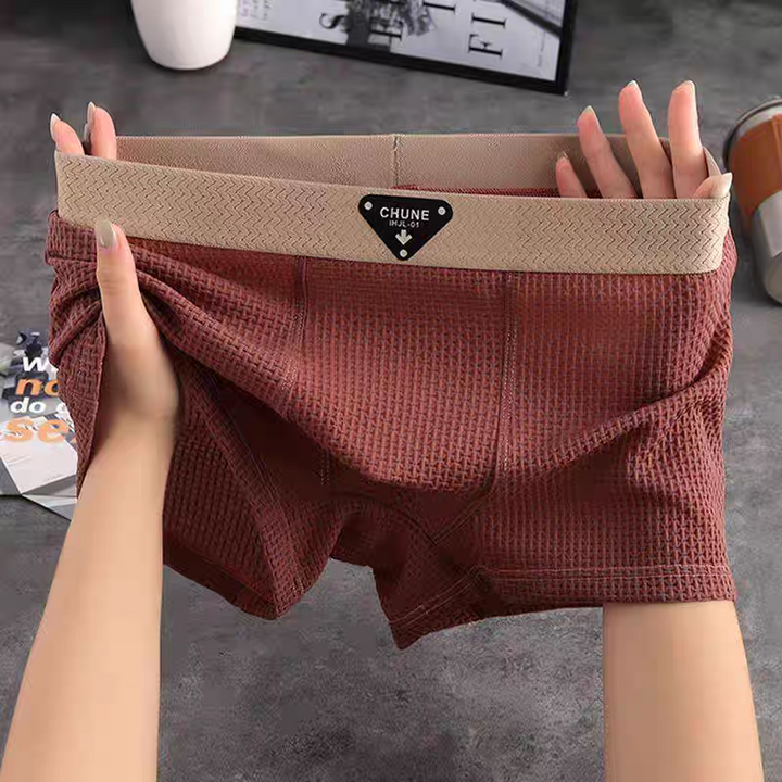 Lion Style | Men’s Breathable Boxer Briefs