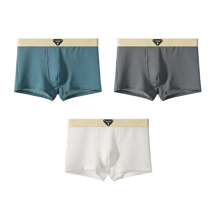 Lion Style | Men’s Breathable Comfort Boxers