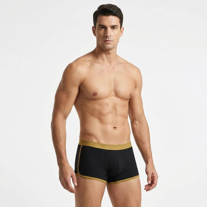 Umber Essential Boxer Briefs Set Lion Style