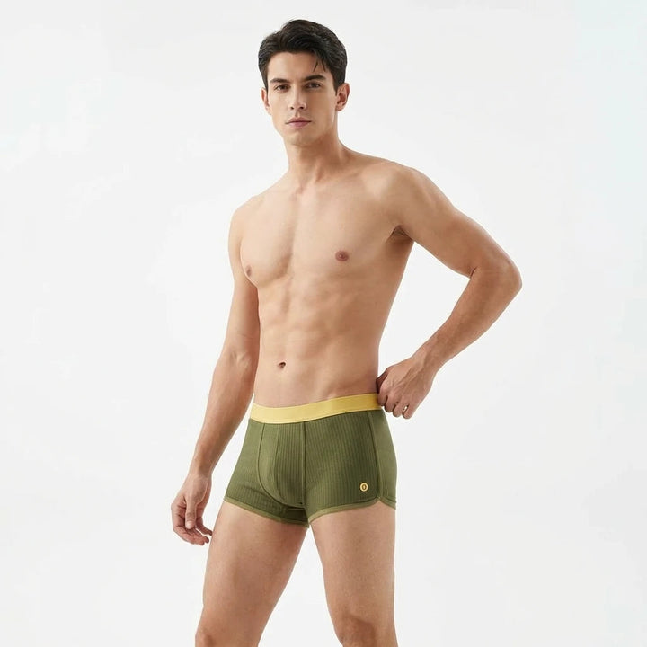 Umber Essential Boxer Briefs Set Lion Style