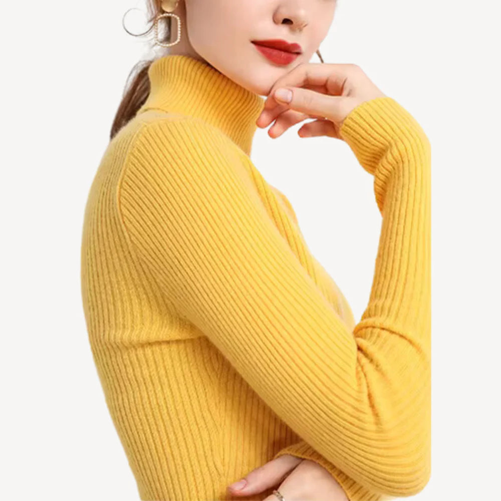 Vivienne Ribbed Turtleneck Knit